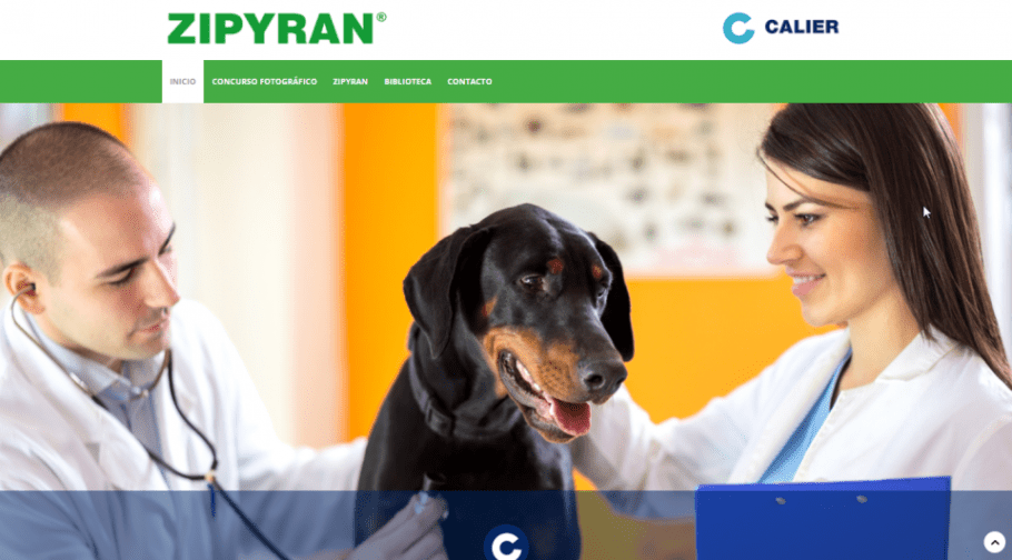 Nueva web Zipyran