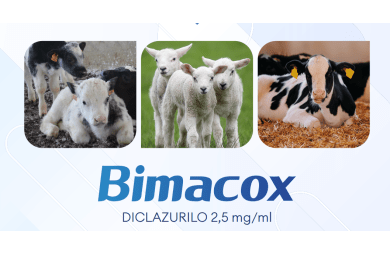 Bimacox - Calier